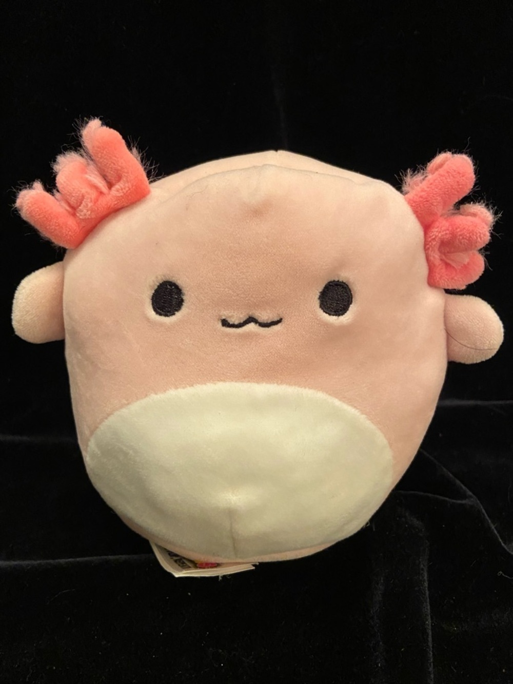 💚 Squishmallow Archie Axolotl to Reina Butterfly Flip A Mallows Plush Anml 5"